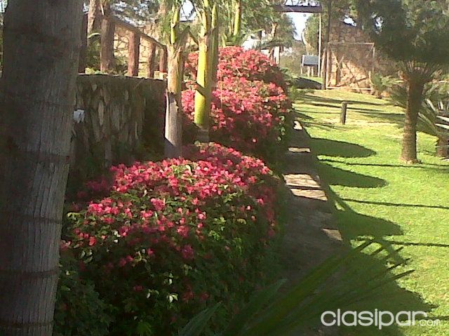 VENDO HERMOSA MANSIÓN EN ALTOS — foto 3