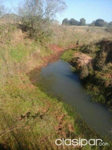 Vendo 14 hectáreas de campo natural en la compañia de Ndavaru- Carapeguá — foto 2