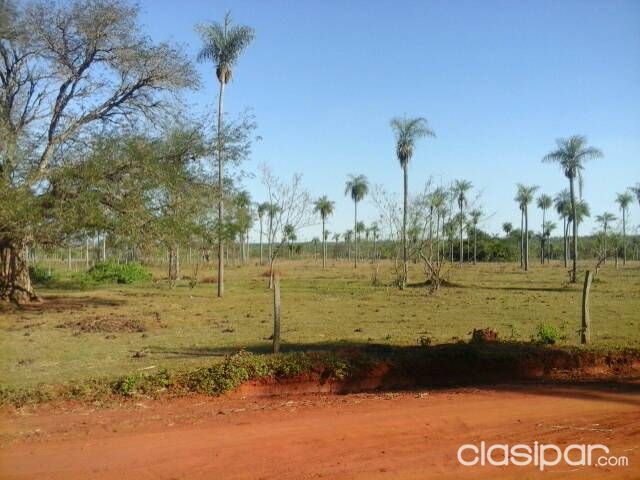 Vendo 14 hectáreas de campo natural en la compañia de Ndavaru- Carapeguá — foto 3