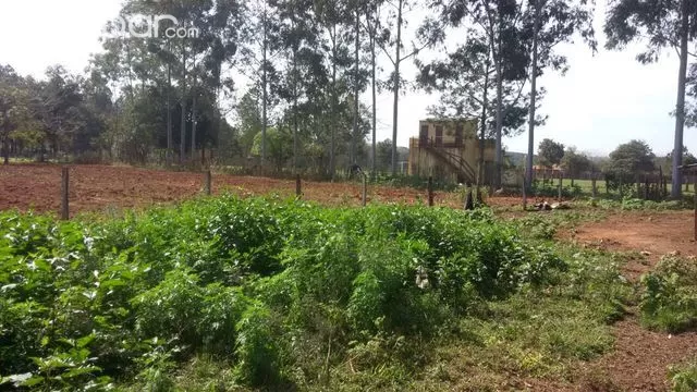 VENDO HERMOSO TERRENO DE 5.4 HECT. JUAN LEON MALLORQUIN LADO MONDAY — foto 3