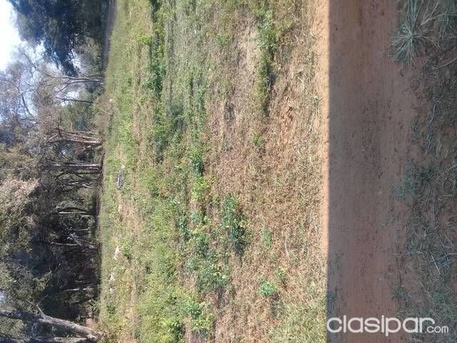 TERRENO EN OFERTA — foto 3