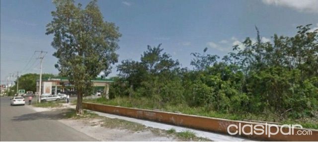 Busco Terrenos para alquilar mínimo 1.000 m2 — foto 2