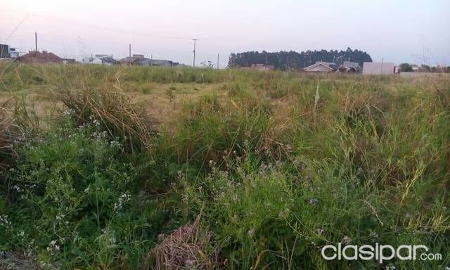 2 Terrenos Hermosos En Santa Rita — foto 3