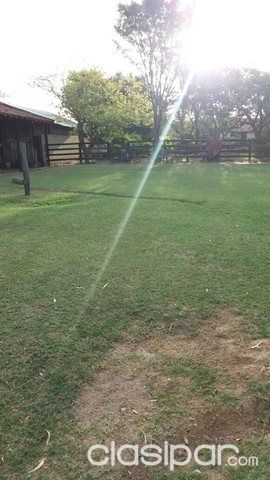 Vendo propiedades en la cuidad de villa oliva especial para plantaciones de arroz — foto 2