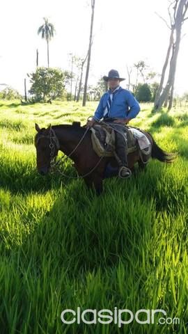Vendo propiedades en la cuidad de villa oliva especial para plantaciones de arroz — foto 3