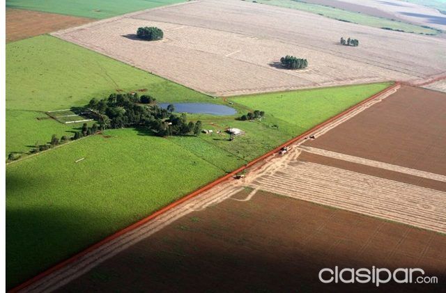 Vendo Campo en Hernandarias — foto 2