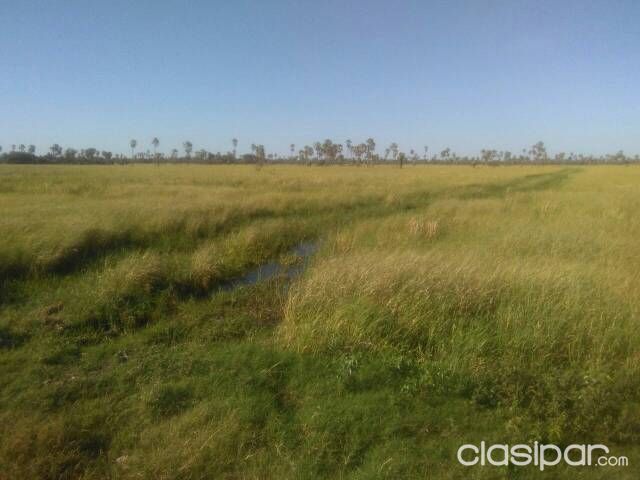 Vendo hermoso campo!!! — foto 2