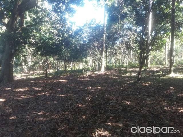 VENDO PROPIEDAD EN NUEVA COLOMBIA — foto 3