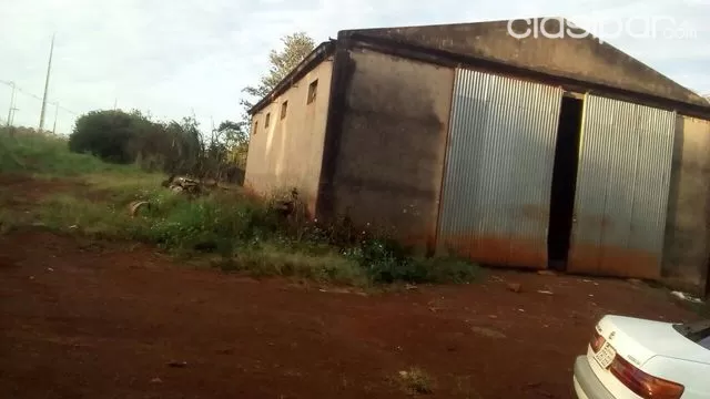 VENDO sobre ruta asfaltada graneros del sur 31 hectáreas — foto 3