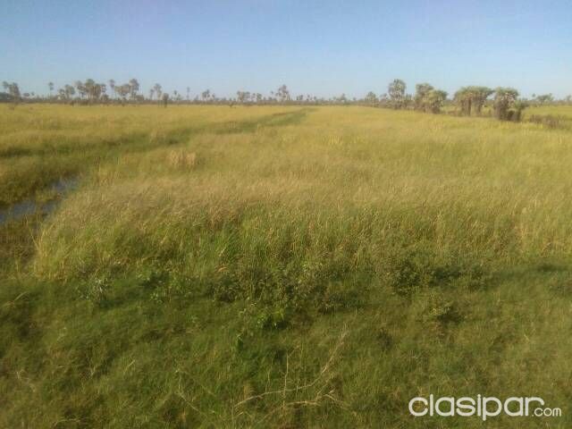 Oferto hermoso campo!!!! — foto 2