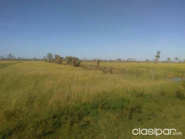 Oferto hermoso campo!!!! — foto 3