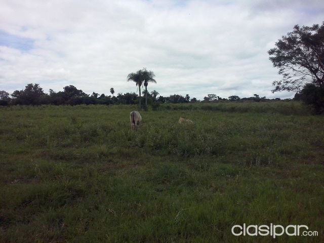 VENDO TERRENO EN SAN JUAN BAUTISTA. MISIONES — foto 2