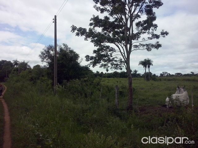 VENDO TERRENO EN SAN JUAN BAUTISTA. MISIONES — foto 3