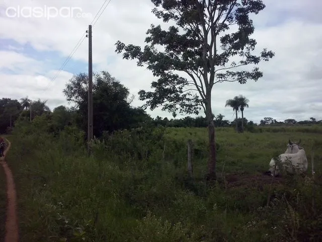 VENDO TERRENO DE 7 has. en SAN JUAN BAUTISTA. MISIONES — foto 3
