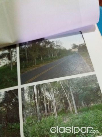 Vendo terreno de 1,4 hectáreas — foto 3