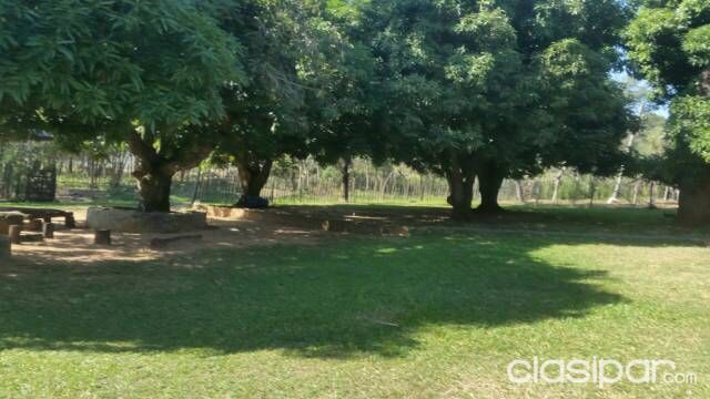 Vendo 5 hectareas — foto 2