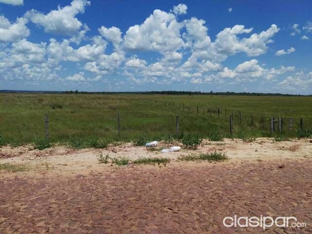 VENDO PROPIEDAD EN NUEVA ITALIA 324 Hectáreas — foto 2