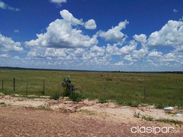 VENDO PROPIEDAD EN NUEVA ITALIA 324 Hectáreas — foto 3