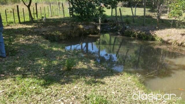 Vendo 5 hectareas en la ciudad de emboscada — foto 2