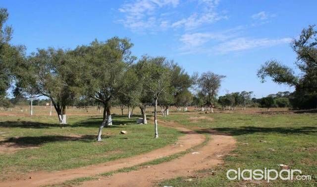 Disfruta de tu propio lote — foto 3