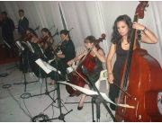Violines para Bodas, 15 años y eventos varios!!