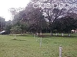 Especial Para Deposito O Barrio Cerrado, 2.100 M2. En Isla Bogado — foto 2