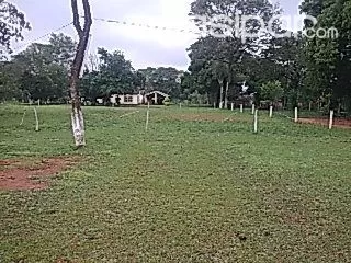 Especial Para Deposito O Barrio Cerrado, 2.100 M2. En Isla Bogado — foto 3