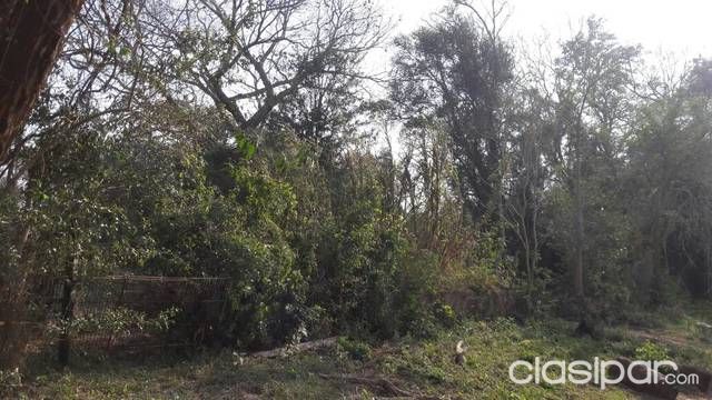 Terreno en San bernardino — foto 2