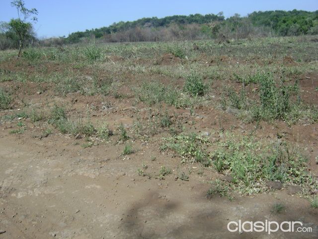 OFERTA – PRE VENTA LOTES ENCARNACION — foto 3