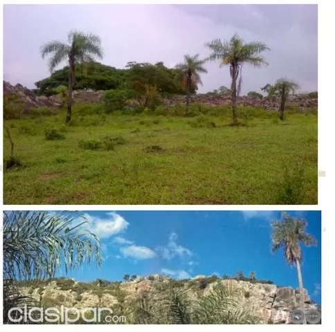 VENDO 4 HAS ZONA PIRARETA - CORDILLERA ¡¡¡¡Oferta de un lugar Paradisíaco!!!! — foto 3