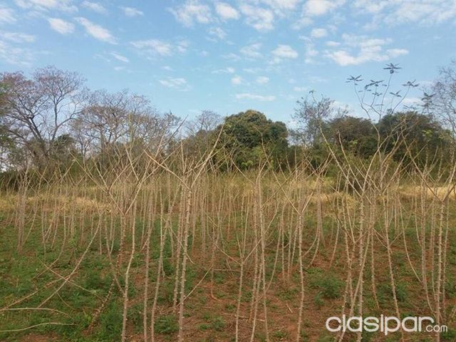 Vendo terreno en Piribebuy — foto 3