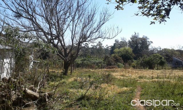 Vendo terreno en Piribebuy — foto 3