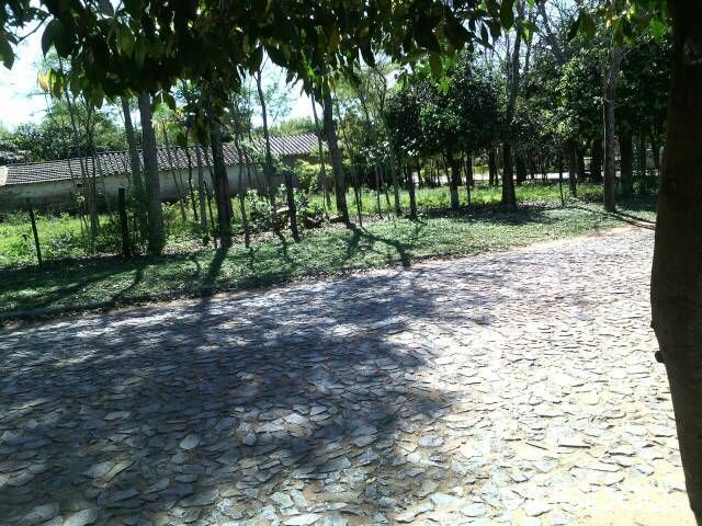 Anuncio 796057 — foto 2