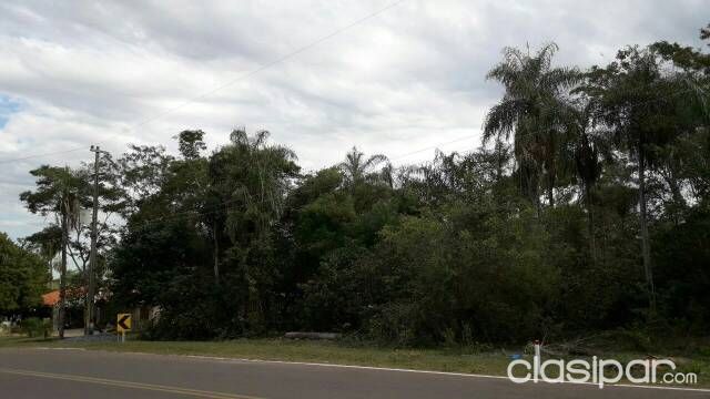 Hermoso terreno — foto 3