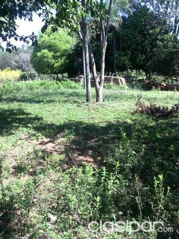Terreno En San Bernardino — foto 2