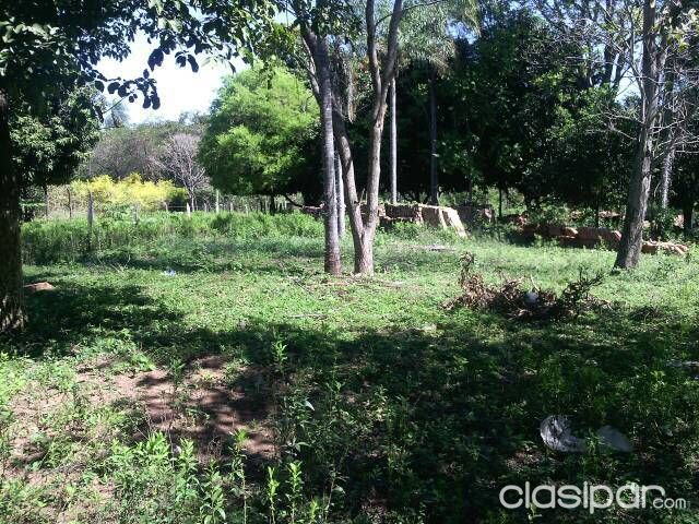 Terreno En San Bernardino — foto 3