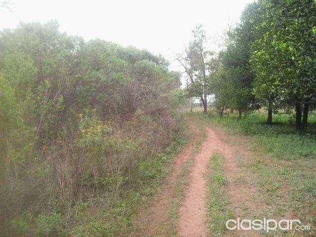 oferto terreno ypane costa pucu — foto 2