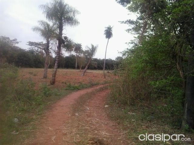 oferto terreno ypane costa pucu — foto 3