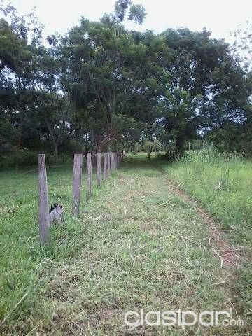 Vendo 20 hectáreas — foto 2