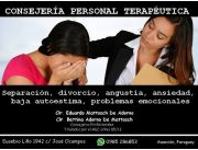 Consejería terapéutica familiar-Terapia individual.Terapia de parejas