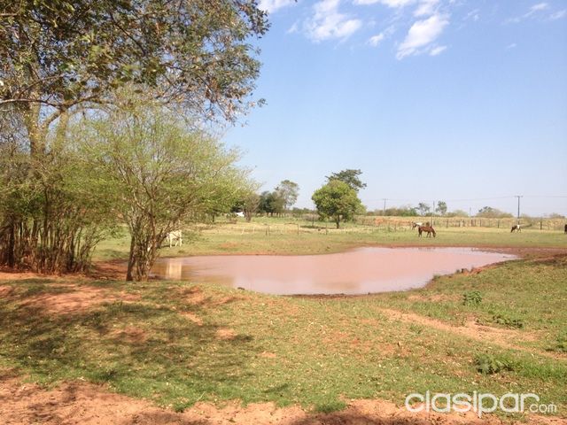 Propiedad de 50 hectareas — foto 2