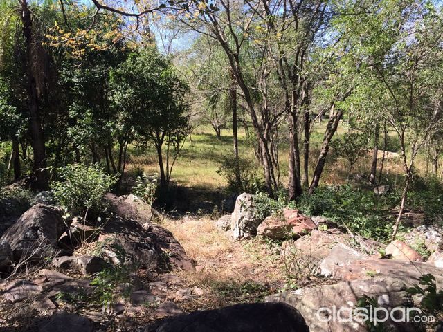 HERMOSOS TERRENOS PARA 5TA EN NUEVA COLOMBIA — foto 2