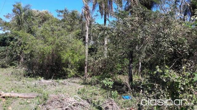 Terreno 20.000 m2 — foto 3