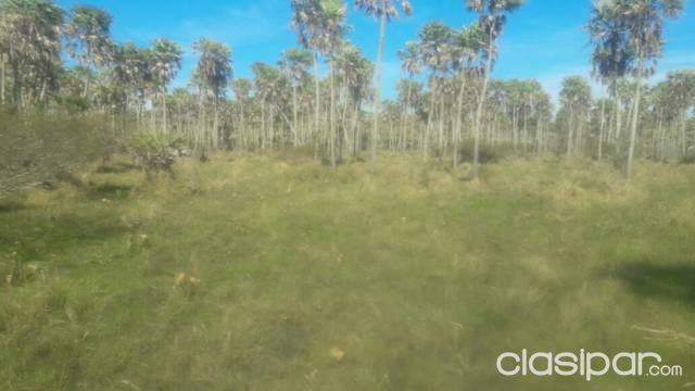 Vendo Estancia Palo Santo — foto 2