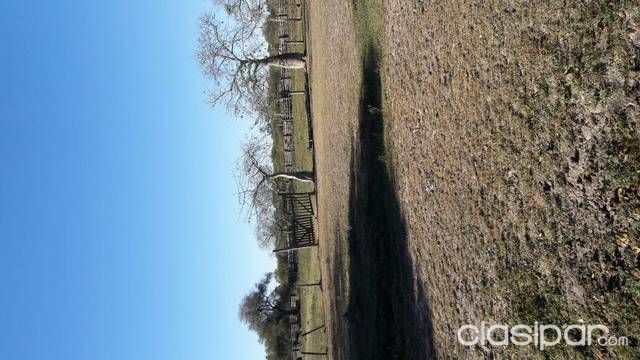 Vendo Estancia Palo Santo — foto 3