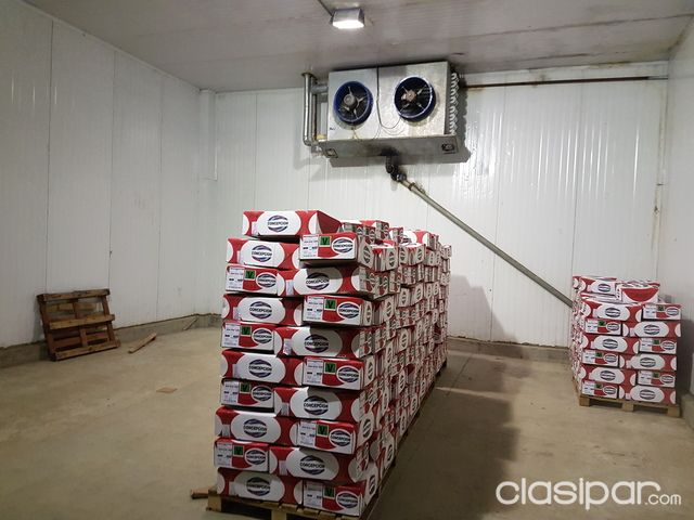ALQUILO DEPOSITO CON CAMARA FRIGORIFICA ZONA MERCADO DE ABASTO — foto 2