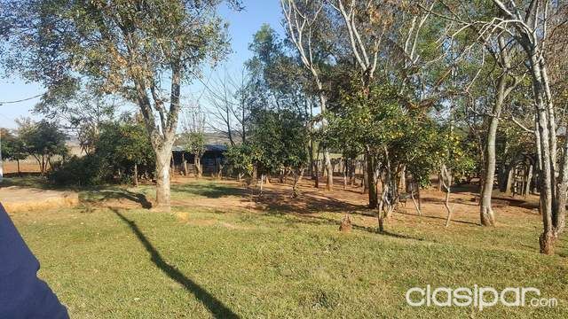 Vendo Granja — foto 3
