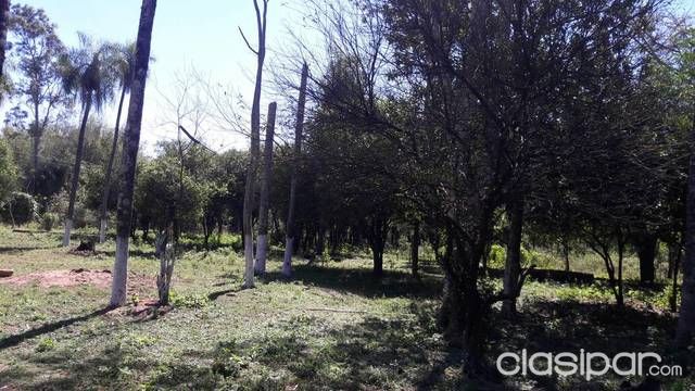 Propiedad de 10 Hectáreas — foto 2