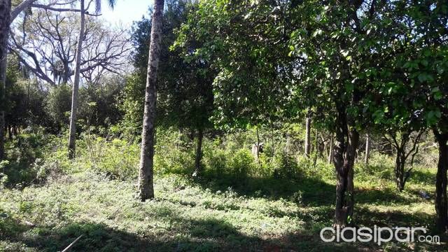 Propiedad de 10 Hectáreas — foto 3