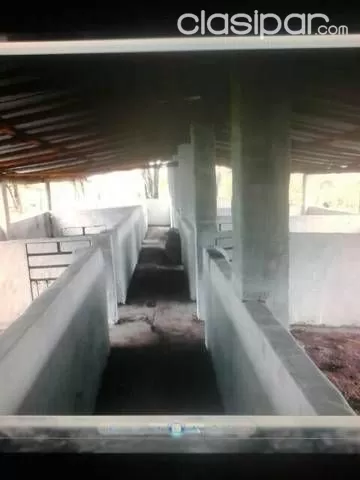 Vendo 6 Hectáreas En Altos Calle A Calle — foto 3